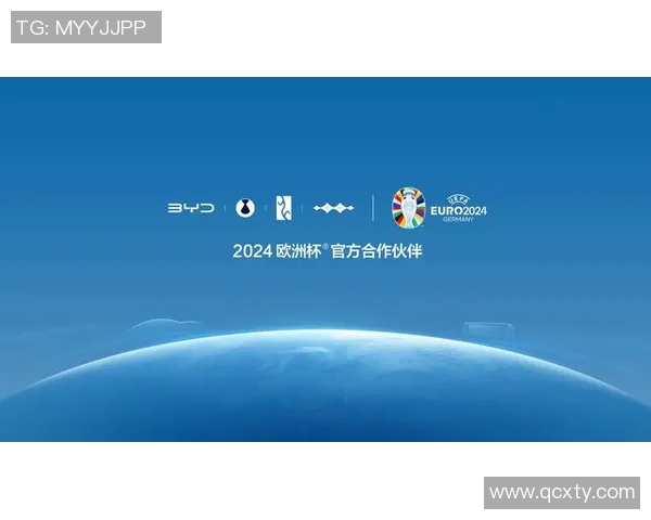 欧洲杯足球赛事市场营销及商业价值 欧洲杯足球赛事市场营销及商业价值